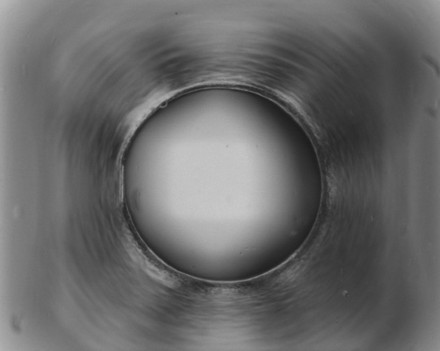 X0000103301371200809051513