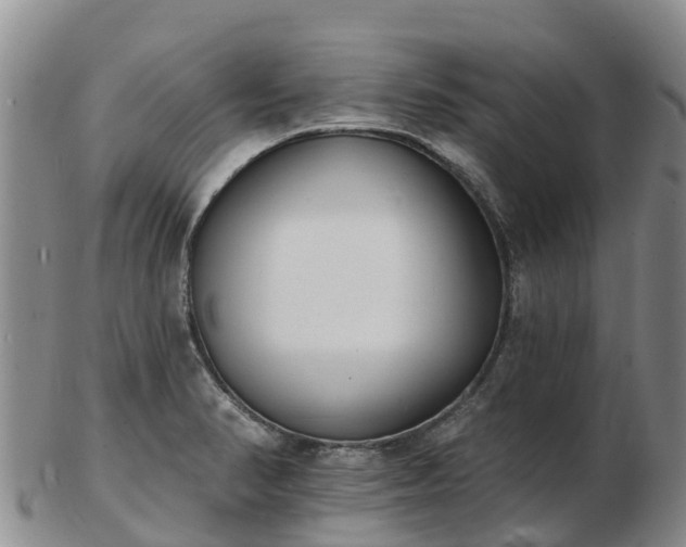 X0000103301374200809051513