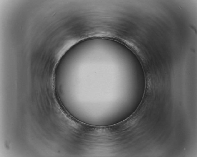 X0000103301375200809051513