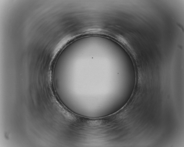 X0000103301376200809051513