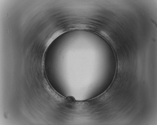 X0000103301378200809051513