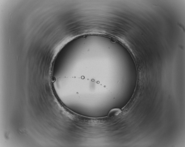 X0000103301379200809051513