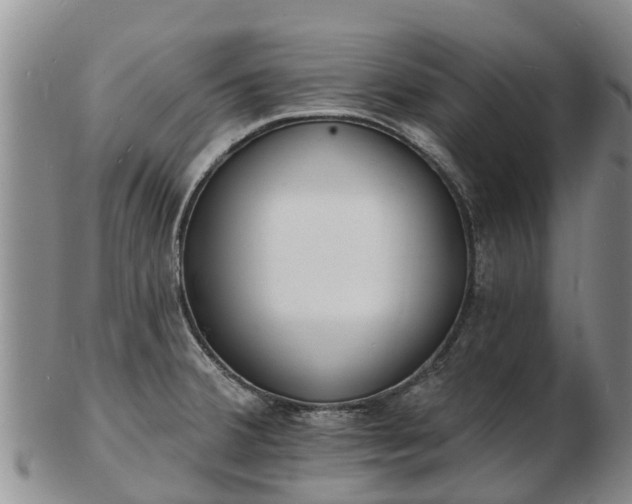 X0000103301380200809051513