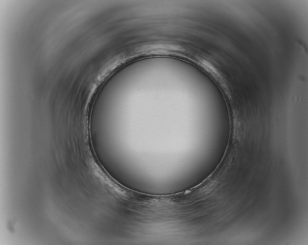 X0000103301384200809051512