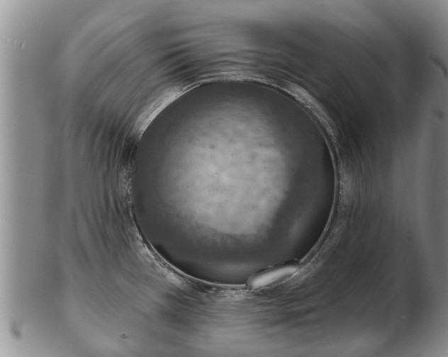 X0000103301385200809051512