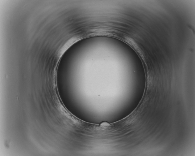 X0000103301386200809051512