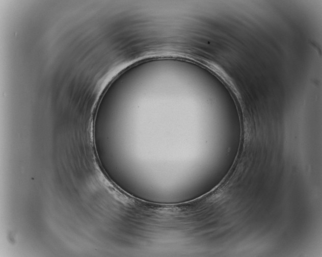 X0000103301388200809051512