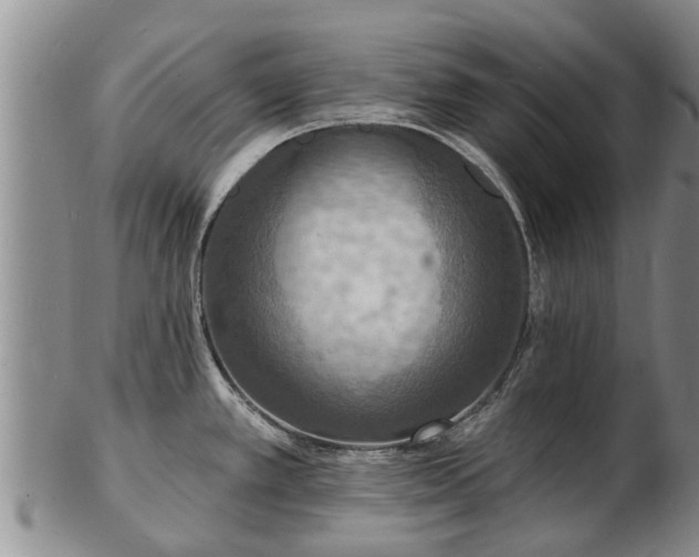 X0000103301389200809051512