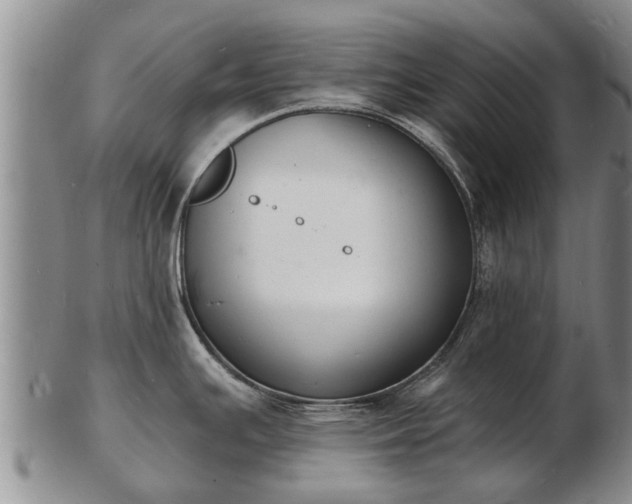 X0000103301391200809051512