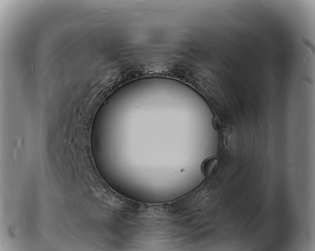 X0000103301393200809051512