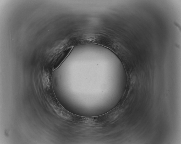 X0000103301394200809051512