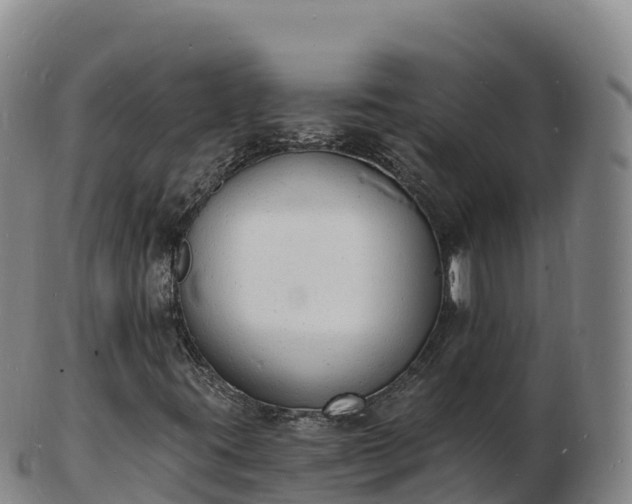 X0000103301395200809051512