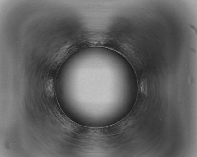 X0000103301396200809051512