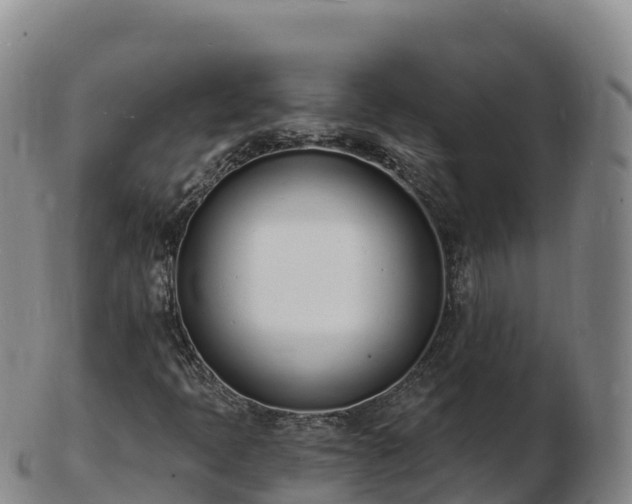 X0000103301397200809051512