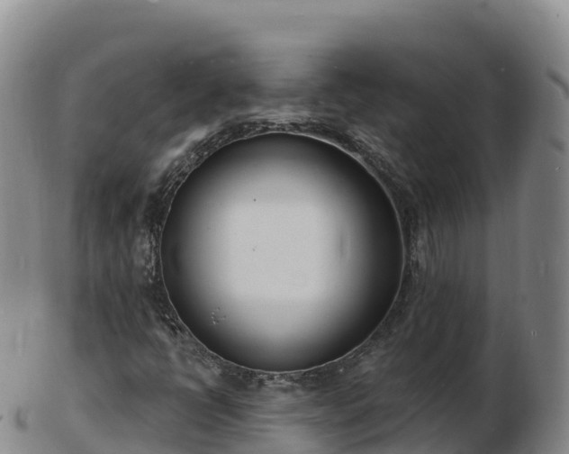 X0000103301398200809051512