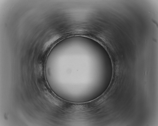 X0000103301402200809051512