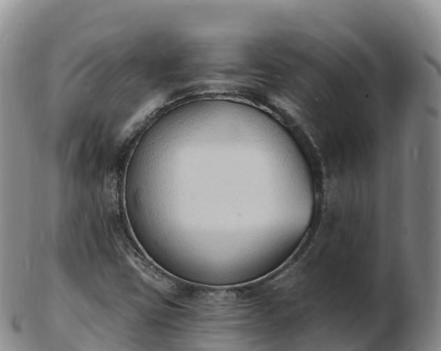 X0000103301403200809051512