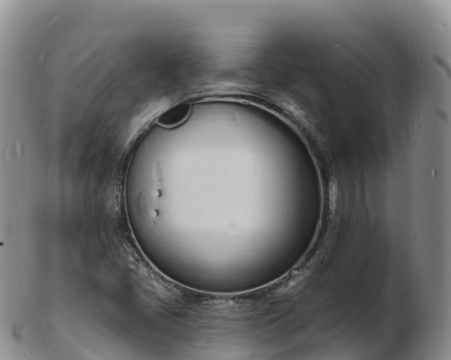 X0000103301405200809051512