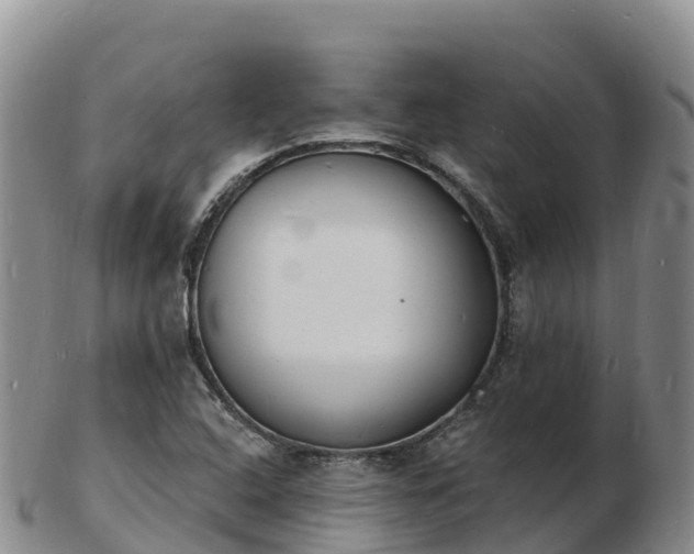 X0000103301408200809051512