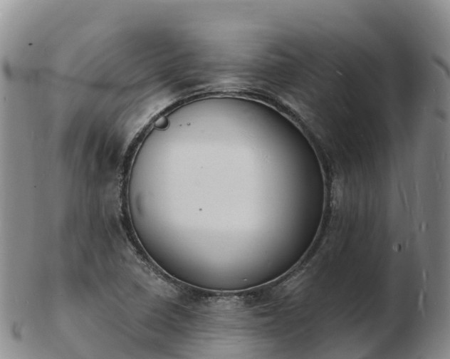 X0000103301410200809051512