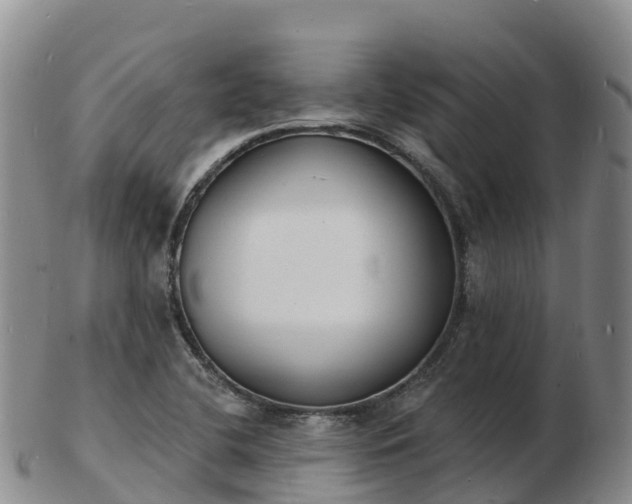 X0000103301412200809051512