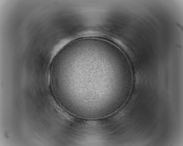 X0000103301413200809051512