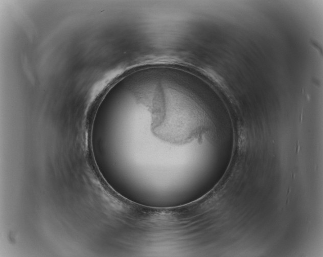 X0000103301414200809051512