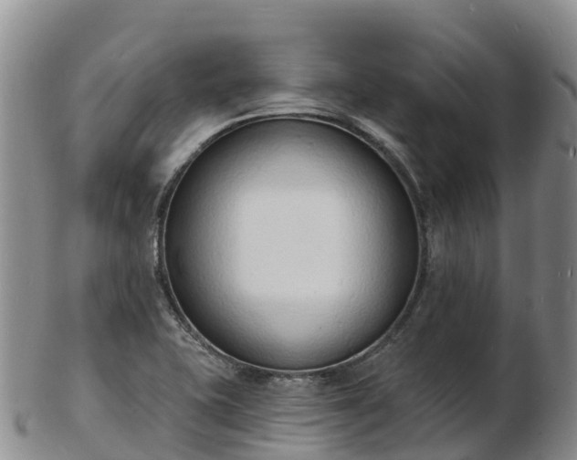 X0000103301415200809051512