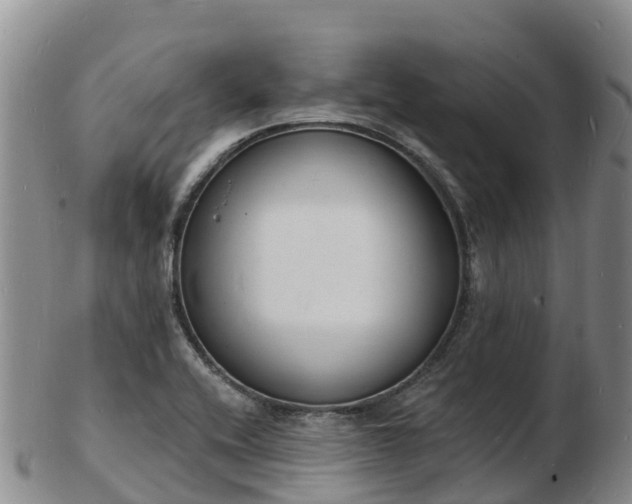 X0000103301416200809051512