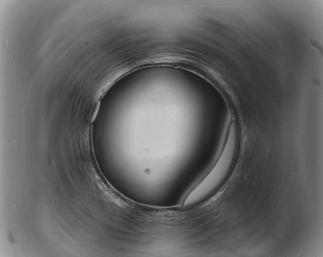 X0000103301417200809051512