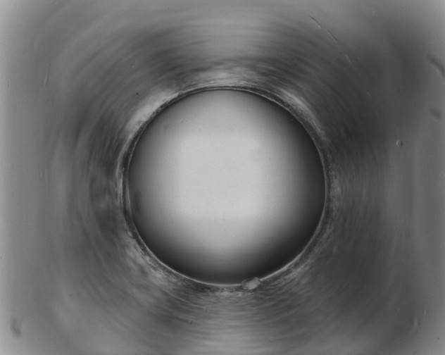 X0000103301419200809051512