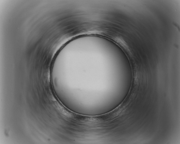 X0000103301420200809051512