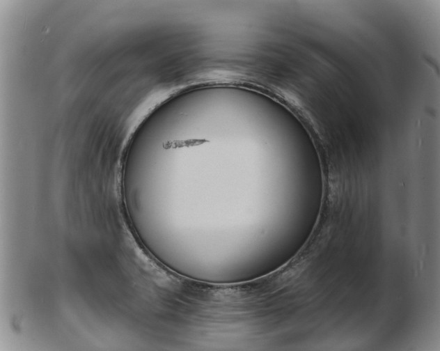 X0000103301421200809051512