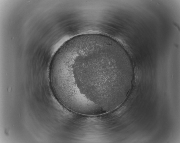 X0000103301422200809051512