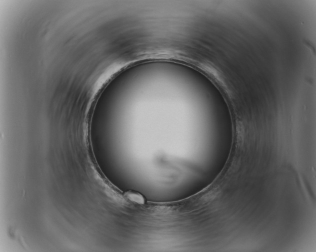 X0000103301424200809051512