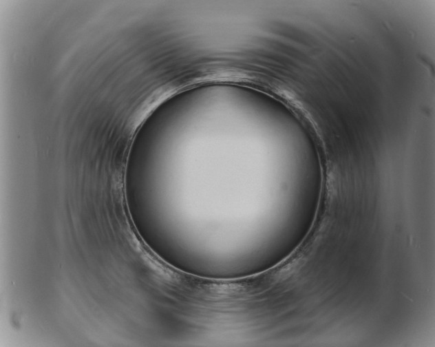 X0000103301425200809051512