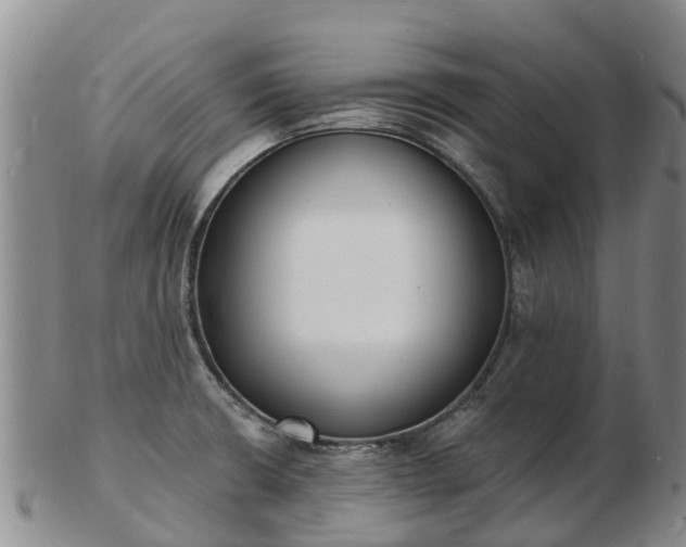 X0000103301426200809051512