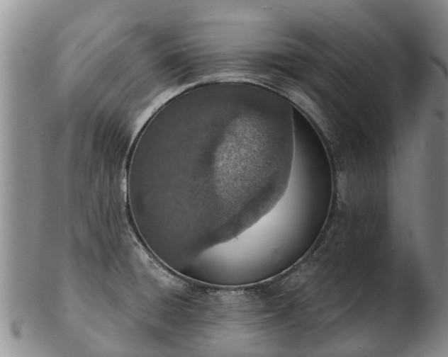 X0000103301428200809051512