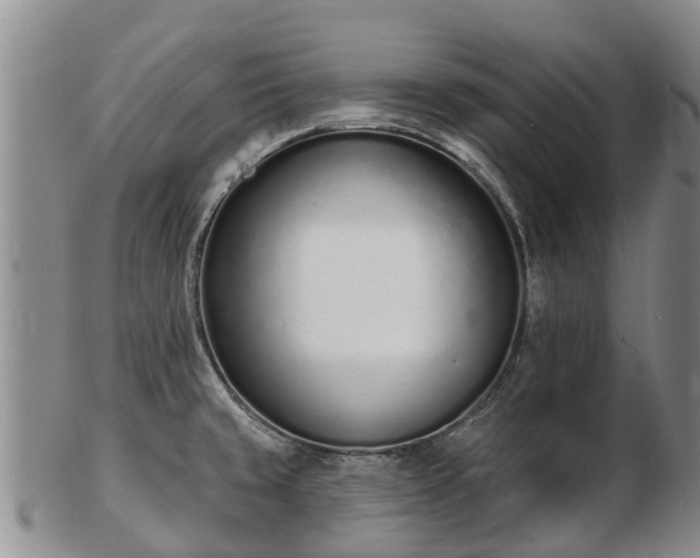 X0000103301429200809051512