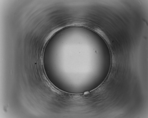 X0000103301436200809051512