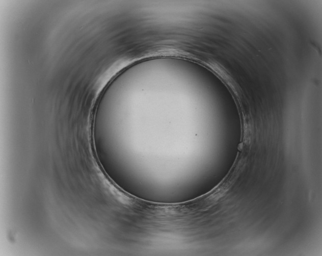 X0000103301438200809051512