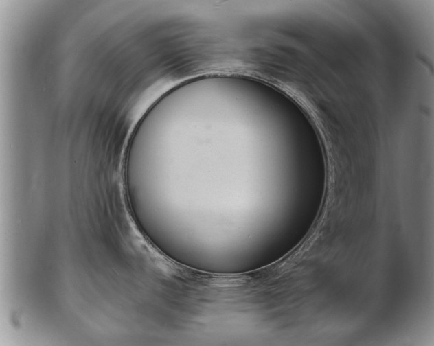 X0000103301440200809051512