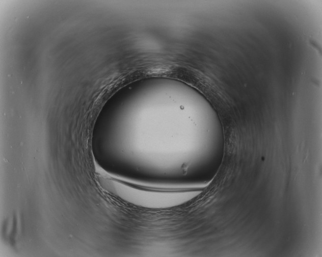 X0000103301441200809051512