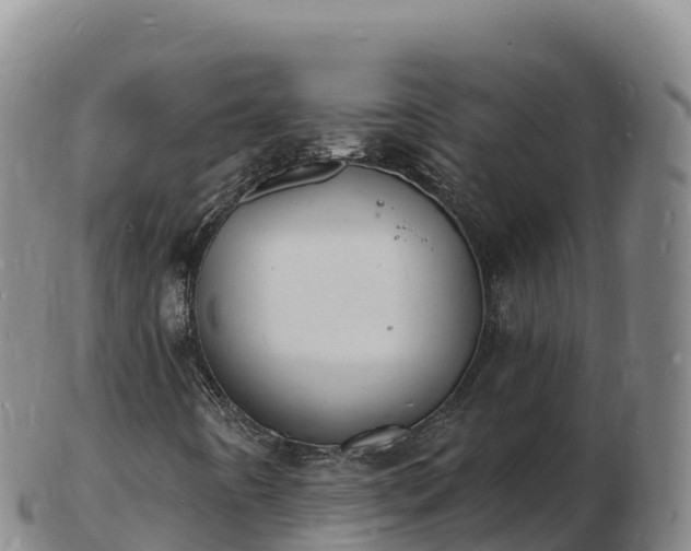 X0000103301442200809051512