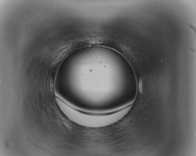 X0000103301444200809051512