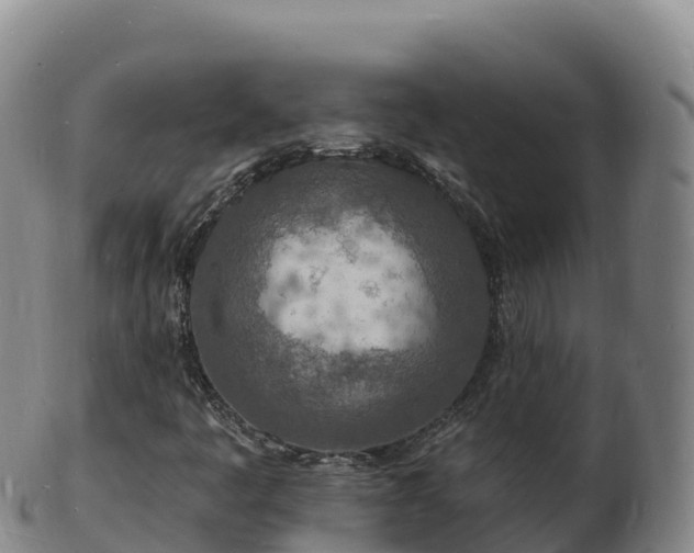 X0000103301445200809051512