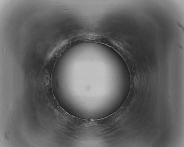 X0000103301447200809051512