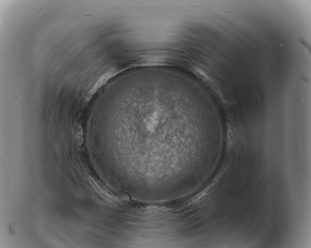 X0000103301449200809051511