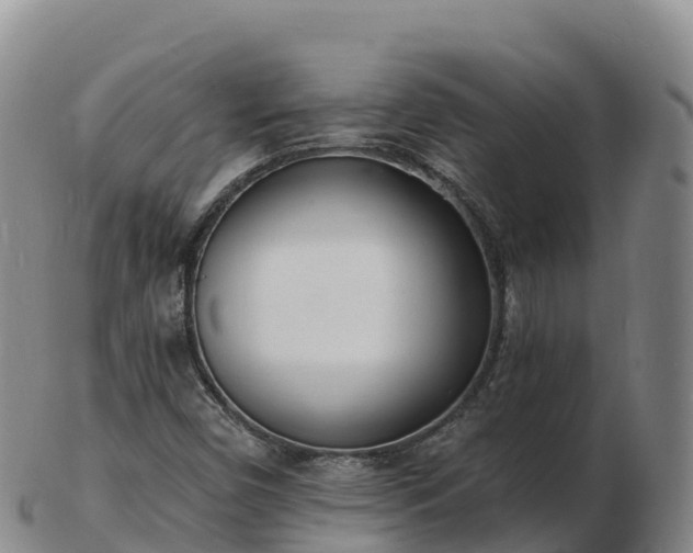 X0000103301450200809051511