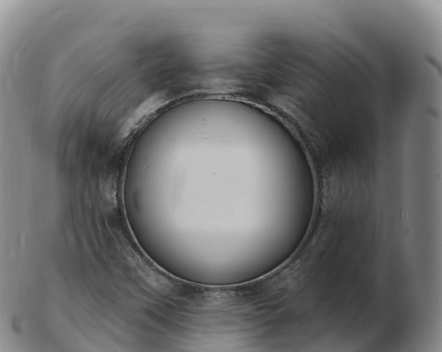 X0000103301451200809051511